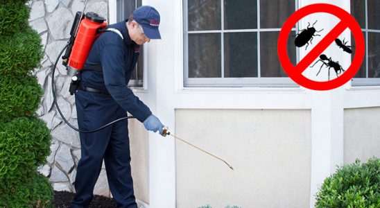 Yeşilyurt Böcek İlaçlama böcek ilaçlama ve haşere kontrolü — ilaclama-tr.com